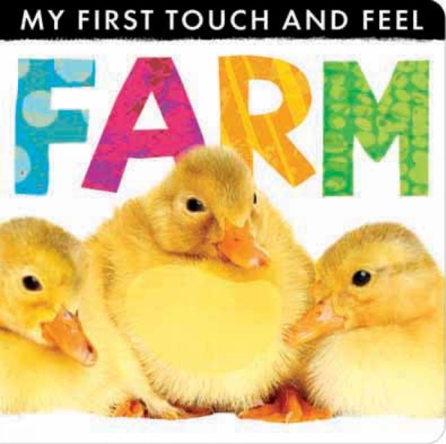 My First Touch and Feel: Farm, Novelty book Book