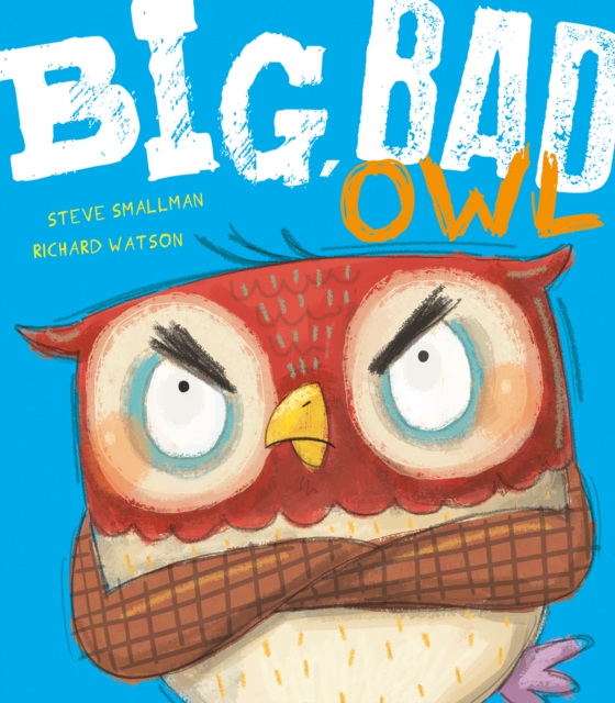 Big, Bad Owl, Hardback Book