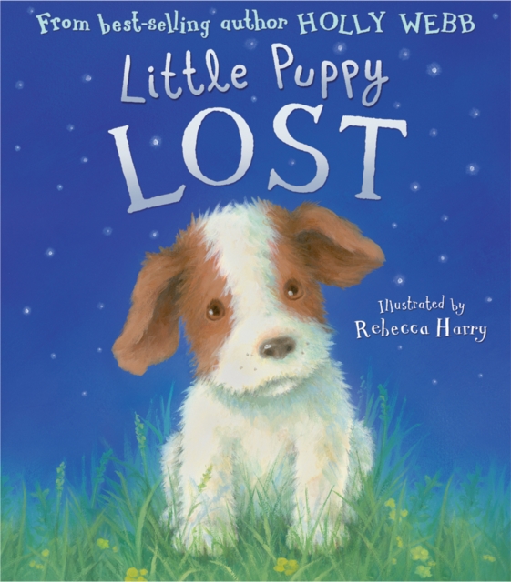 Little Puppy Lost, Hardback Book