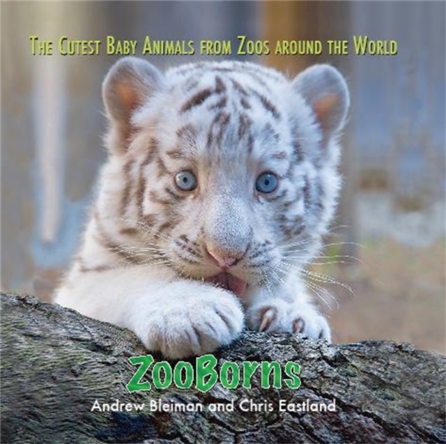 ZooBorns : The Cutest Baby Animals from Zoos Around the World!, Hardback Book
