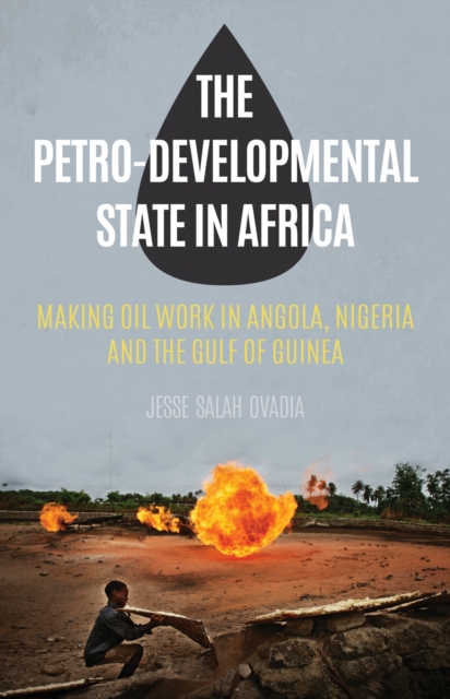 The Petro-Developmental State in Africa : Making Oil Work in Angola, Nigeria and the Gulf of Guinea, Hardback Book