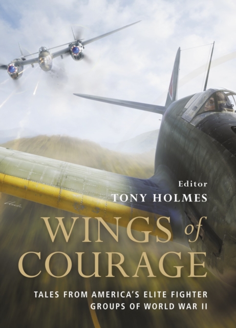 Wings of Courage : American Fighters in World War II, Hardback Book