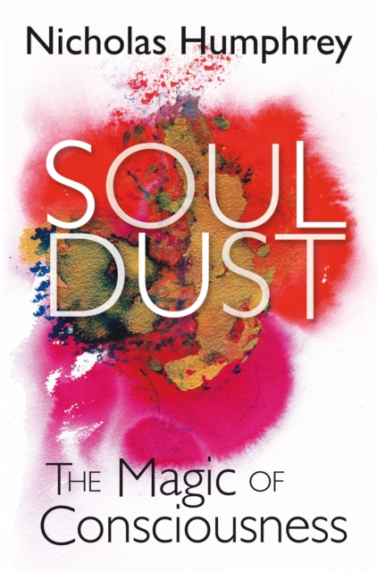 Soul Dust : The Magic of Consciousness, EPUB eBook