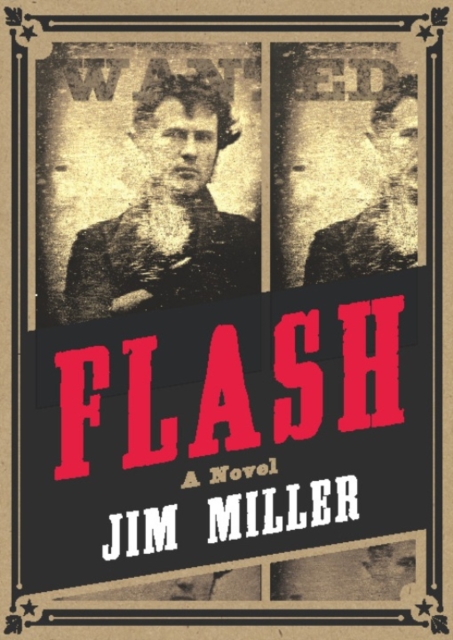 Flash : A Novel, EPUB eBook
