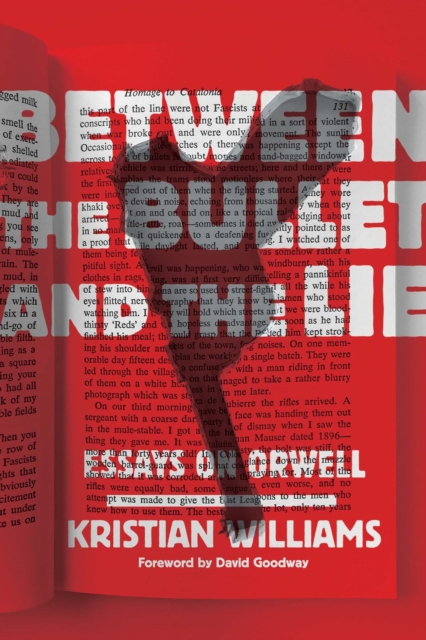 Between the Bullet and the Lie : Essays on Orwell, EPUB eBook