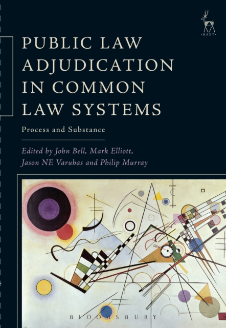Public Law Adjudication in Common Law Systems : Process and Substance, PDF eBook