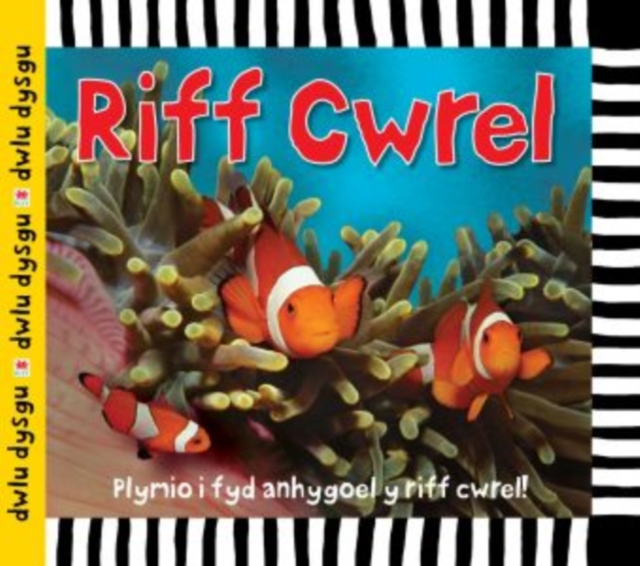 Cyfres Dwlu Dysgu: Riff Cwrel, Hardback Book