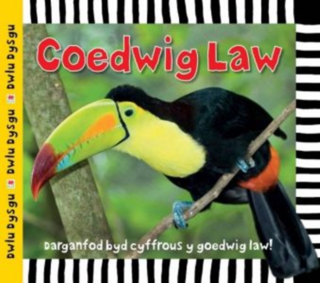 Cyfres Dwlu Dysgu: Coedwig Law, EPUB eBook
