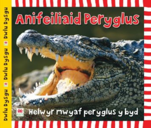 Cyfres Dwlu Dysgu: Anifeiliaid Peryglus, EPUB eBook