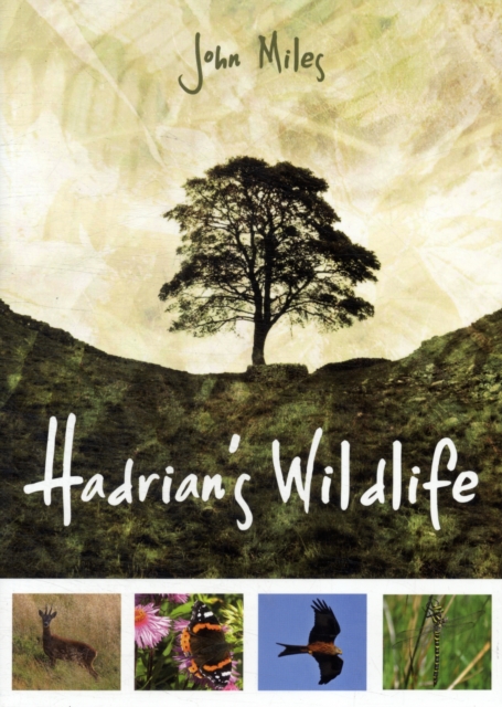 Hadrian's Wildlife, Paperback / softback Book