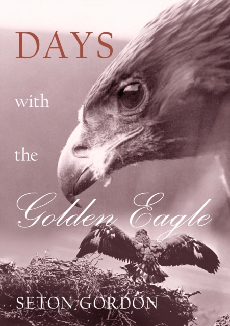 Days with the Golden Eagle, EPUB eBook