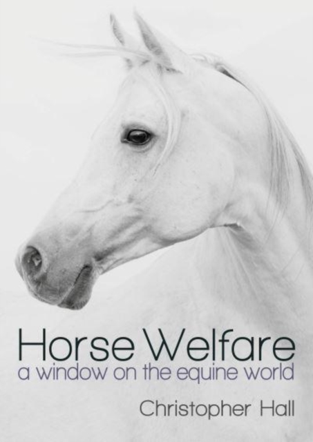 Horse Welfare : A Window on the Equine World, Paperback / softback Book