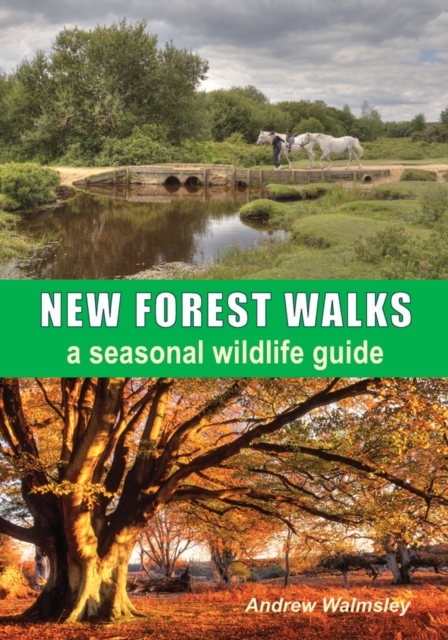 New Forest Walks : A Seasonal Wildlife Guide, Paperback / softback Book