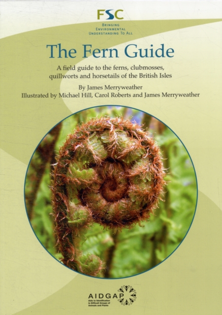 The Fern Guide : A Field Guide to the Ferns, Clubmosses, Quillworts and Horsetails of the British Isles, Paperback / softback Book