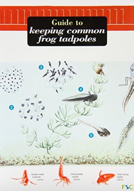 A Guide to Keeping Common Frog Tadpoles, Microfilm Book