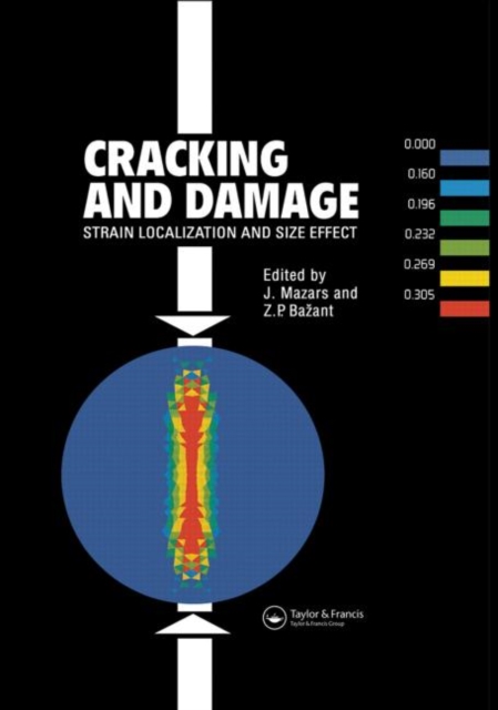 Cracking and Damage : Strain Localization and Size Effect : France-US Workshop on Strain Localization and Size Effect Due to Cracking and Damage : Papers, Hardback Book