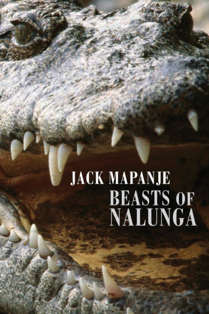 Beasts of Nalunga, Paperback / softback Book