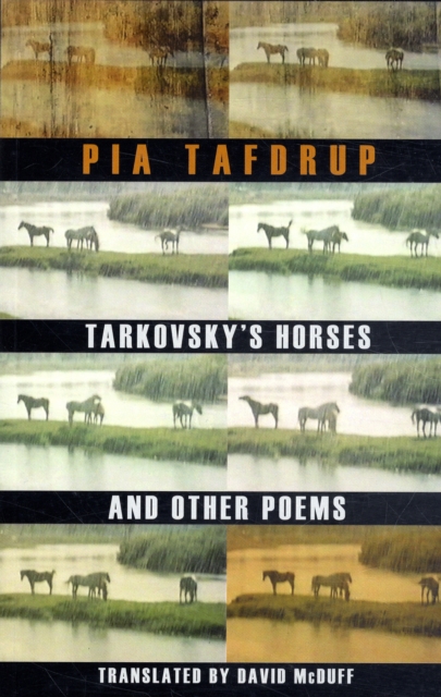 Tarkovsky's Horses and other poems, Paperback / softback Book