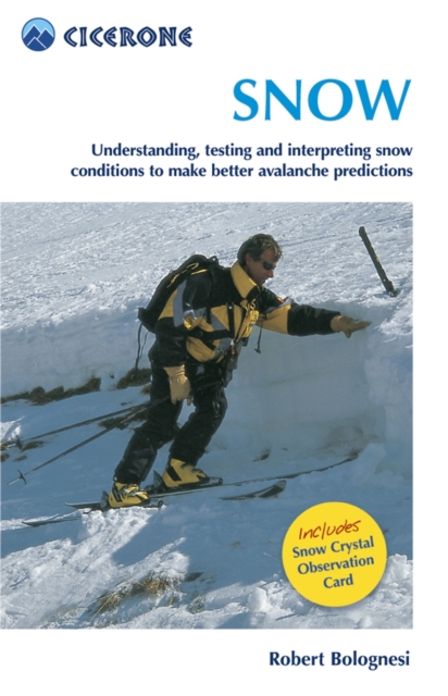 Snow : Understanding, testing and interpreting snow conditions to make better avalanche predictions, Paperback / softback Book
