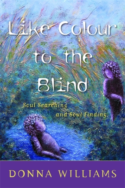 Like Colour to the Blind : Soul Searching and Soul Finding, Paperback / softback Book