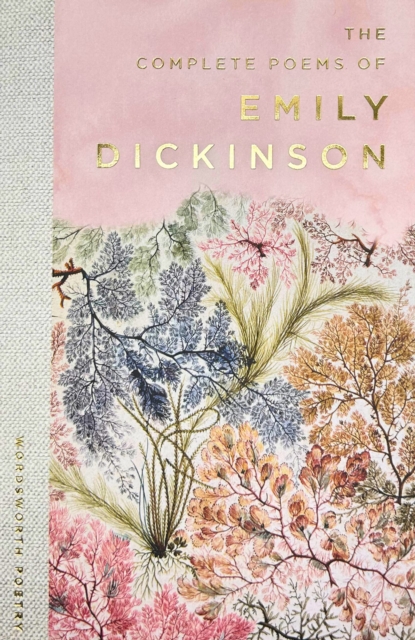 The Selected Poems of Emily Dickinson, Paperback / softback Book