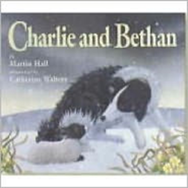 Charlie and Bethan, Paperback / softback Book