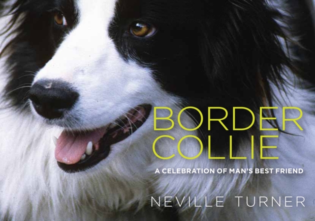 Border Collie, Hardback Book