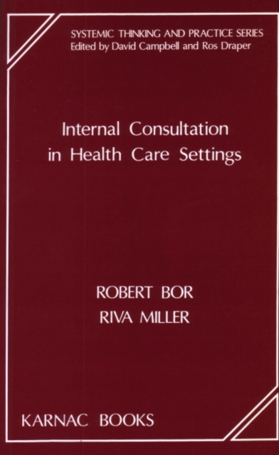 Internal Consultation in Health Care Settings, Paperback / softback Book