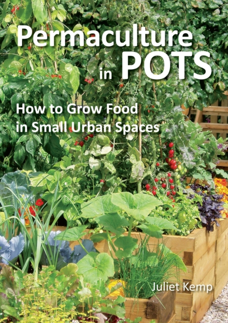 Permaculture in Pots : How to Grow Food in Small Urban Spaces, Paperback Book