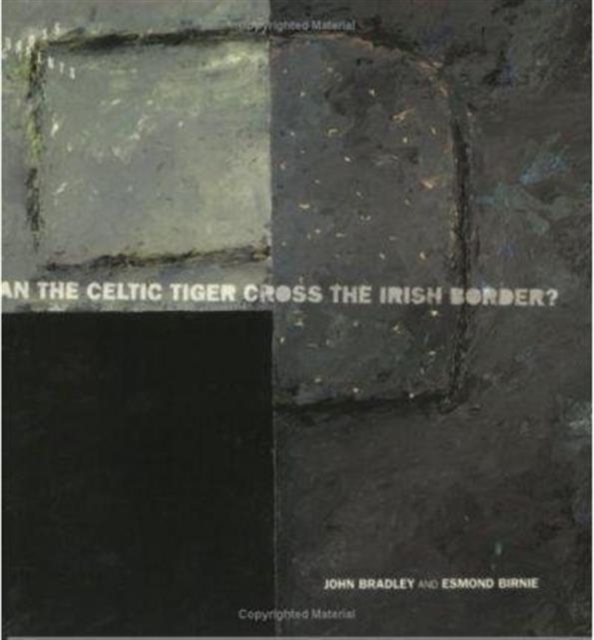 Can the Celtic Tiger Cross the Irish Border?, Paperback / softback Book