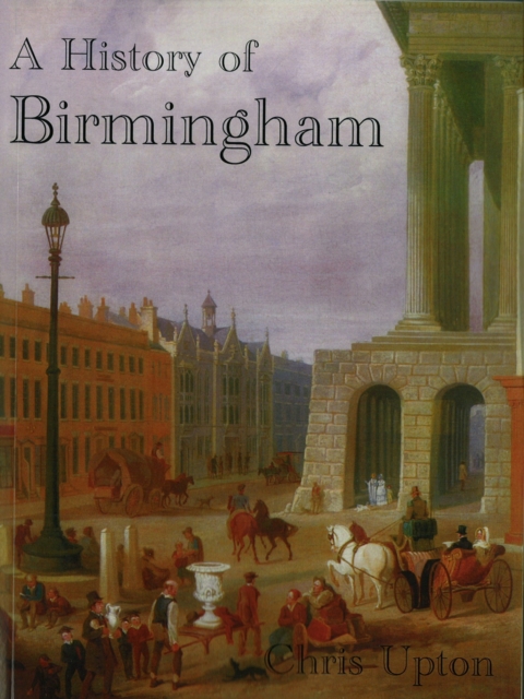 A History of Birmingham, Paperback / softback Book