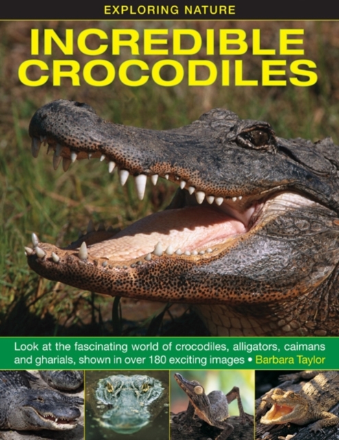 Exploring Nature: Incredible Crocodiles, Hardback Book