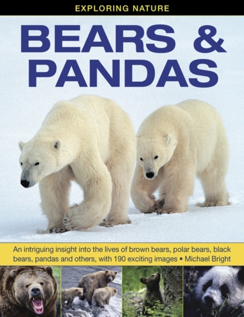 Exploring Nature: Bears & Pandas : An Intriguing Insight into the Lives of Brown Bears, Polar Bears, Black Bears, Pandas and Others, with 190 Exciting Images, Hardback Book