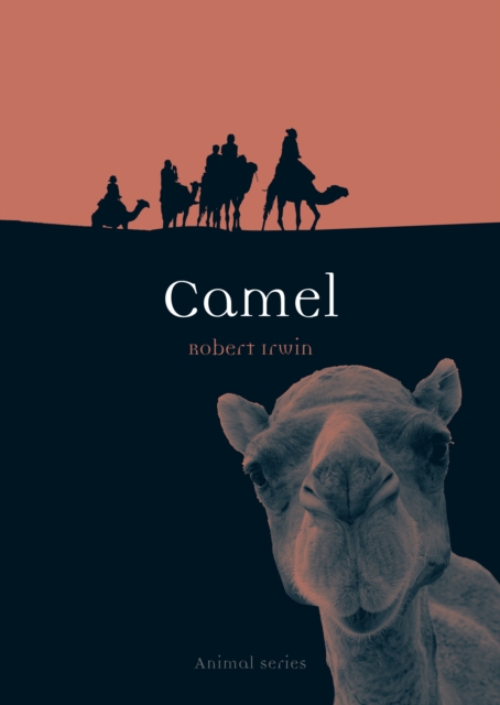Camel, Paperback / softback Book