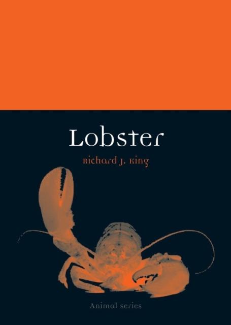 Lobster, Paperback / softback Book