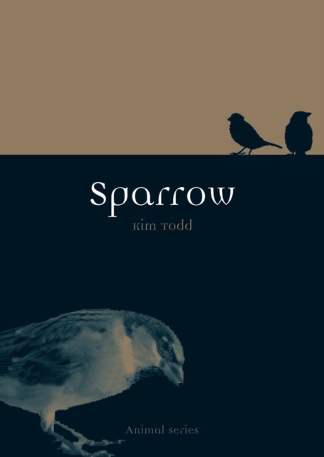 Sparrow, Paperback / softback Book