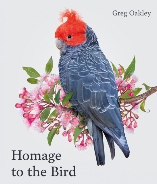 Homage to the Bird, Hardback Book