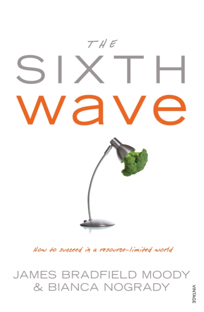 The Sixth Wave : How to Succeed in a Resource-Limited World, EPUB eBook