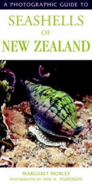 Photographic Guide To Seashells Of New Zealand, Paperback / softback Book Photographic Guide To Seashells Of New Zealand, Paperback / softback Book