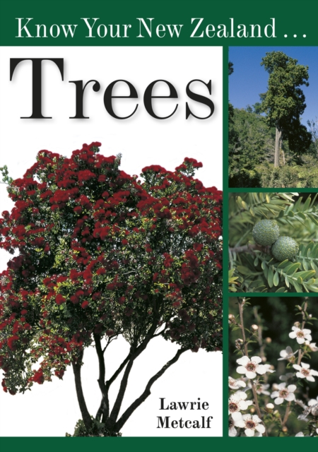 Know Your New Zealand Trees, Paperback / softback Book