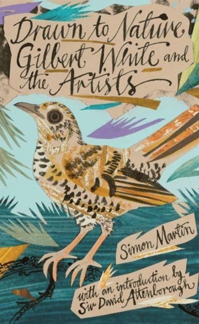 Drawn to Nature : Gilbert White and the Artists, Hardback Book