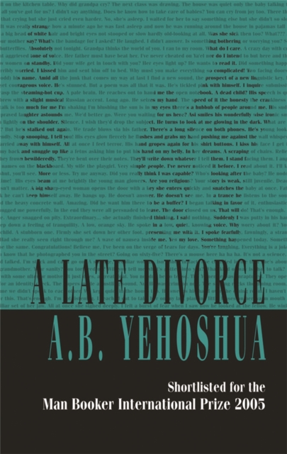 A Late Divorce, Paperback / softback Book