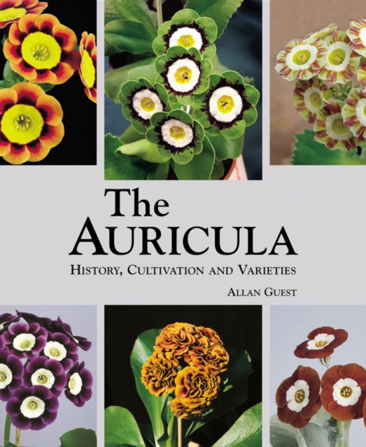 Auricula: History, Cultivation and Varieties, Hardback Book