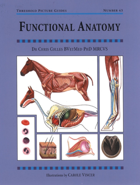 Functional Anatomy, Paperback / softback Book
