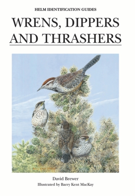 Wrens, Dippers and Thrashers, Hardback Book
