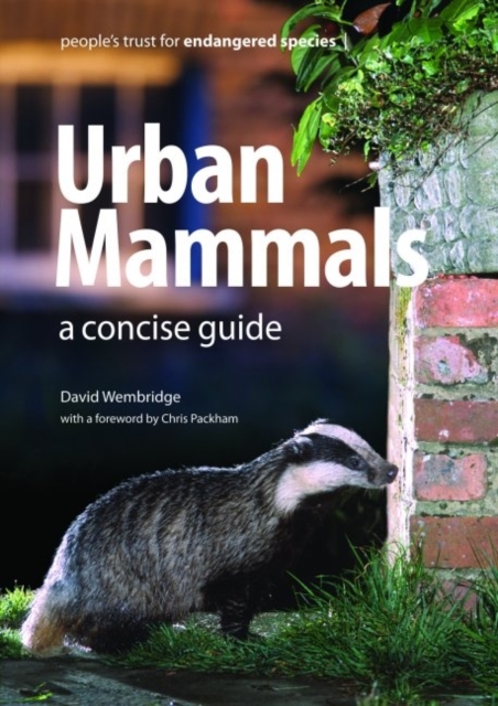 Urban Mammals : A Concise Guide, Paperback / softback Book