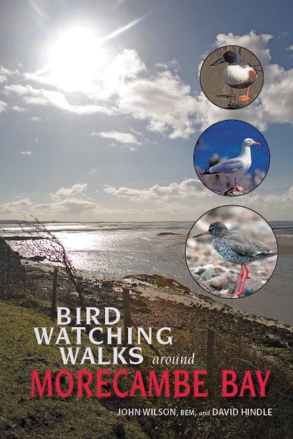 Birdwatching Walks Around Morecambe Bay, Paperback / softback Book