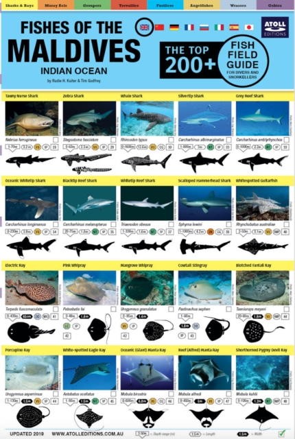Maldives Fish Field Guide "Top 200+", Fold-out book or chart Book