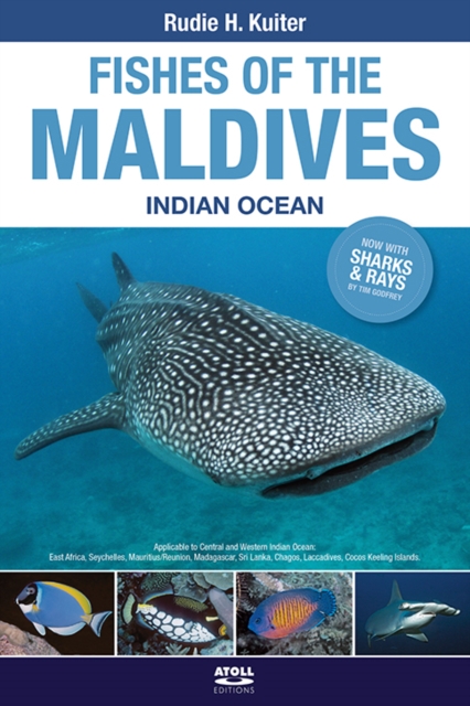 Fishes of the Maldives : Indian Ocean, Paperback / softback Book
