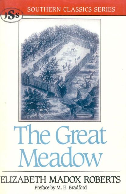 The Great Meadow, Paperback / softback Book
